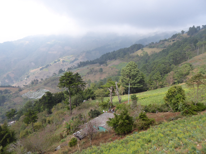 Rural scenery in northern El Salvador, taken at about 15000m on  the drive up to Cerro Pital. 