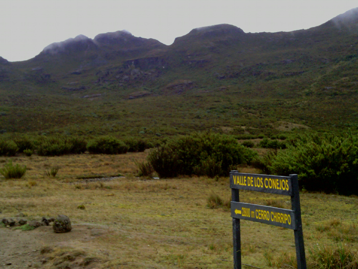 Near the summit of Chirripo, Costa Rica. 