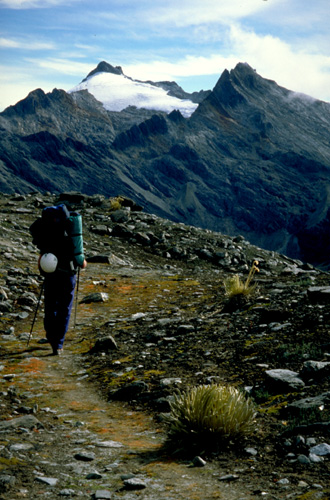 Walking in the Sierra Nevada, Venezuelan Andes