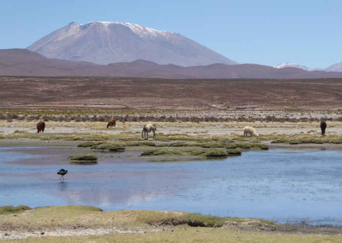 Caquella as seen form near Villa Alota, Bolivia. 