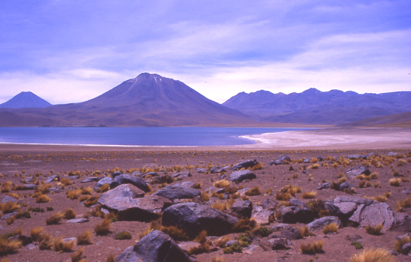 Miscanti (centre) from the Laguna Miscanti