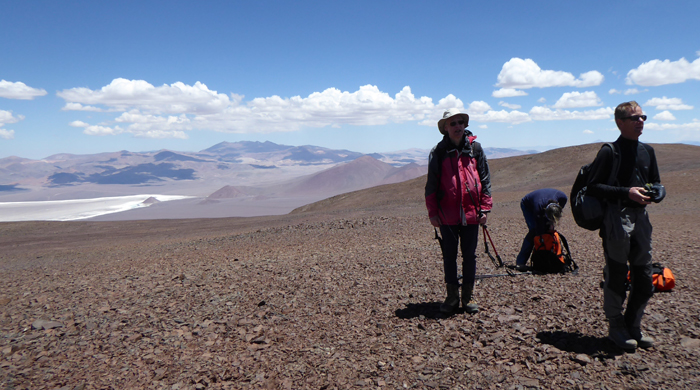 Colorado above the Salar de Maricunga. 