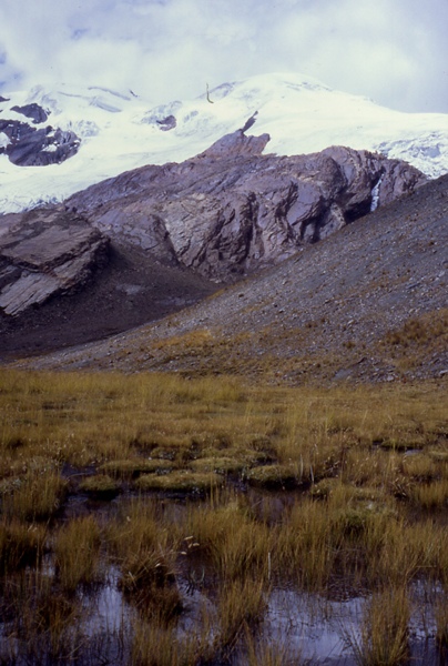 Yanamarey in the southern Cordillera Blanca.