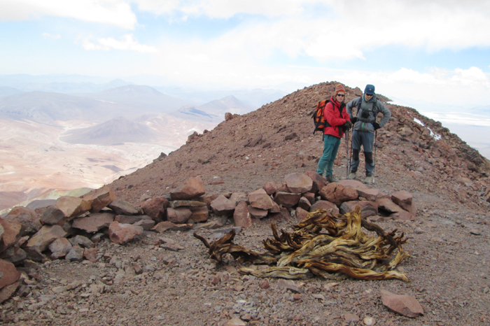 Firewood and Inca walls just beneath the summit of Volcan Copiapo in Chile. 