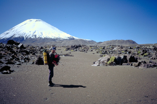 Parinacota from the lava field to the south