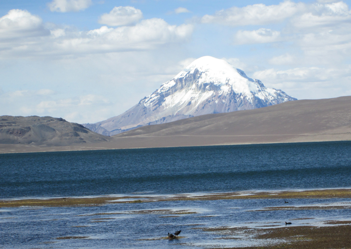 Sajama seen in the distance from Volcan Parinacota