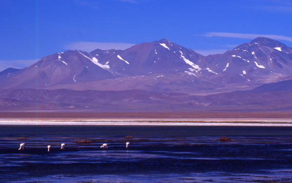 Tres Cruces from Laguna Santa Rosa.