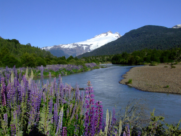 Tronador and the Rio Manso  from the east,  just below Pampa Linda.